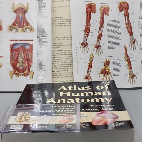 Atlas of Human Anatomy by Frank H. Netter & Anatomy Interactive CD - Picture 4 of 10